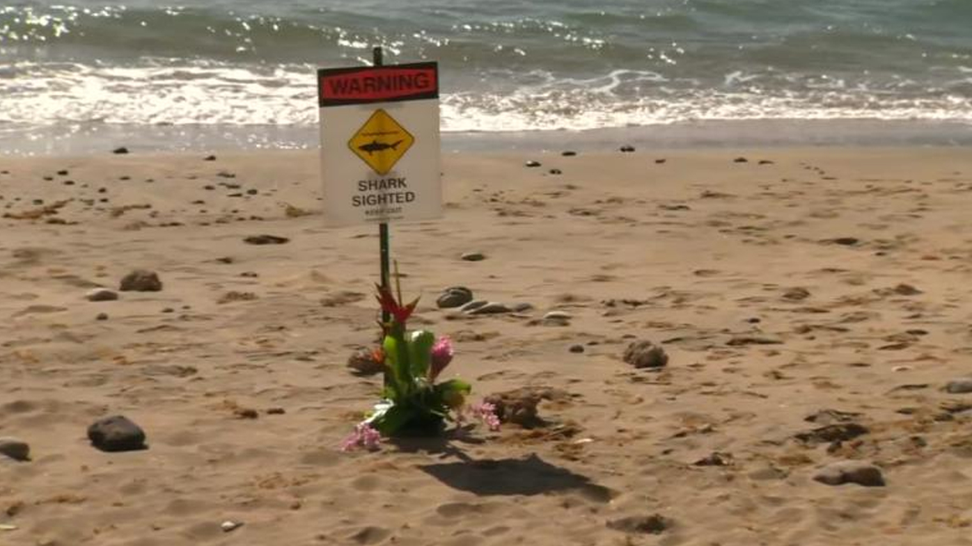 World News Man Killed In Hawaii Shark Attack Pulled Ashore Missing Leg