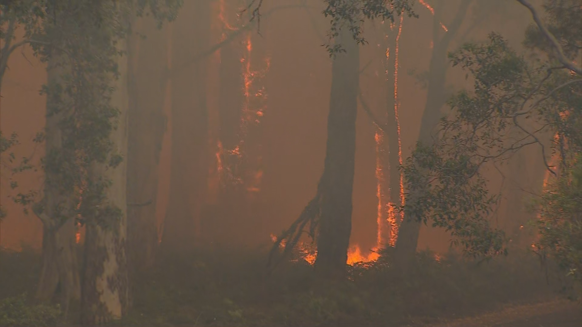 An emergency warning is in place for the Leeuwin-Naturaliste National Park, with campers and residents evacuated as the blaze burns.