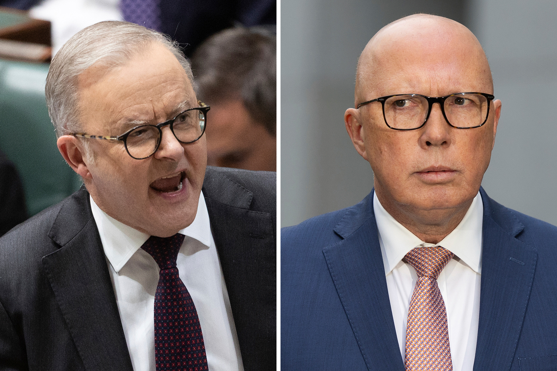 Albanese leads Dutton as preferred leader: poll