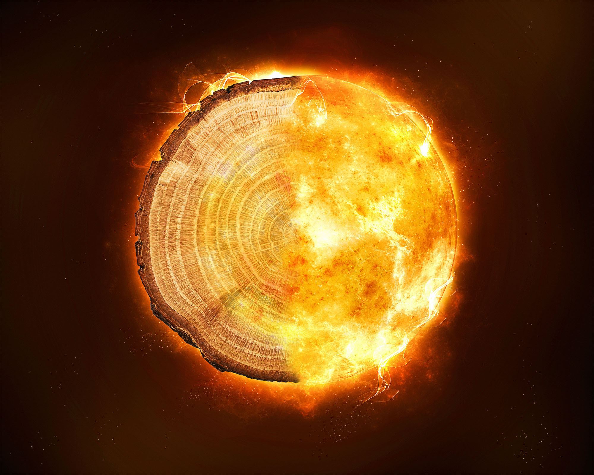 Tree rings and a solar flare