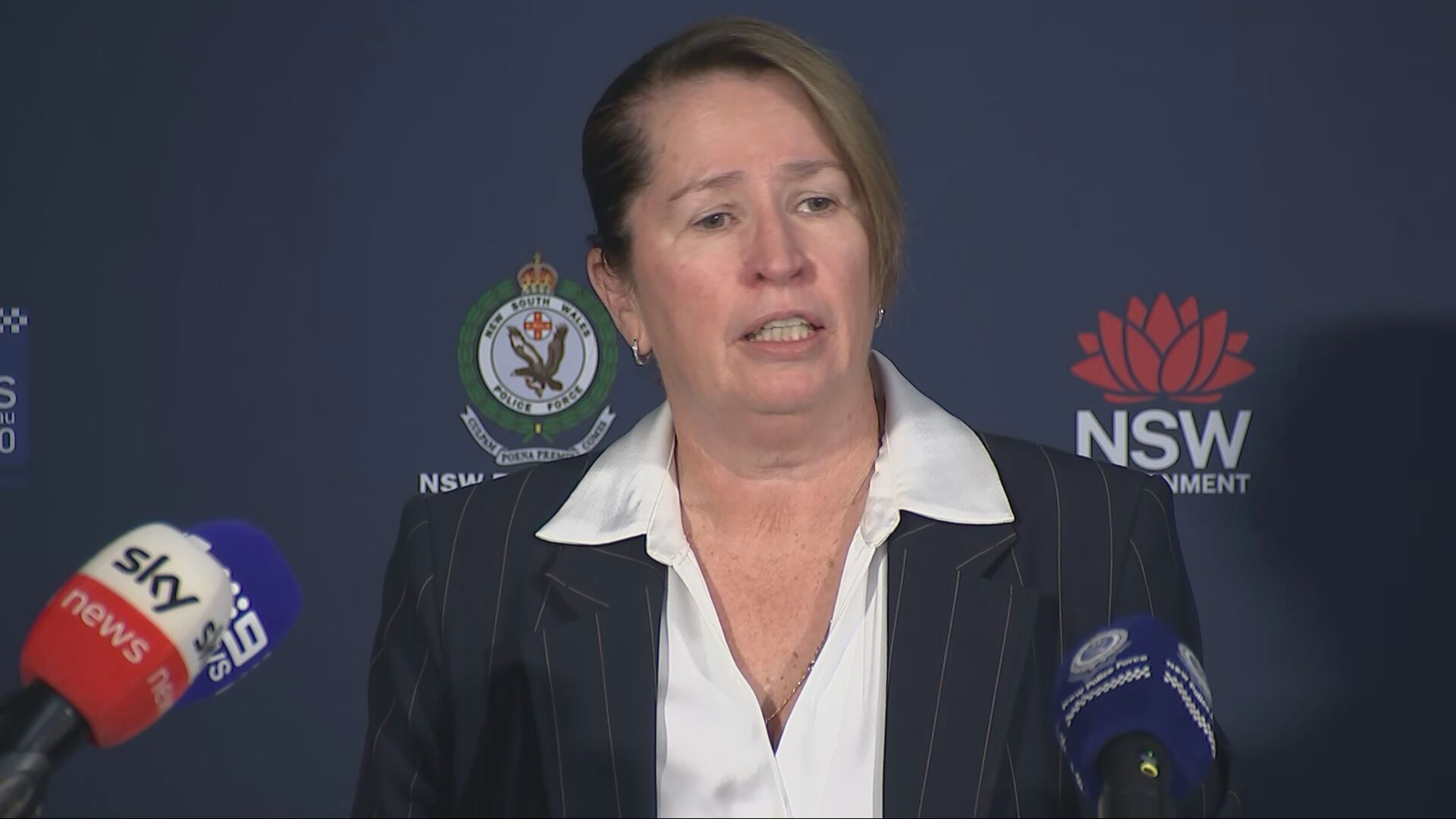 Detective Superintendent Jayne Doherty said the material recovered was "deplorable".