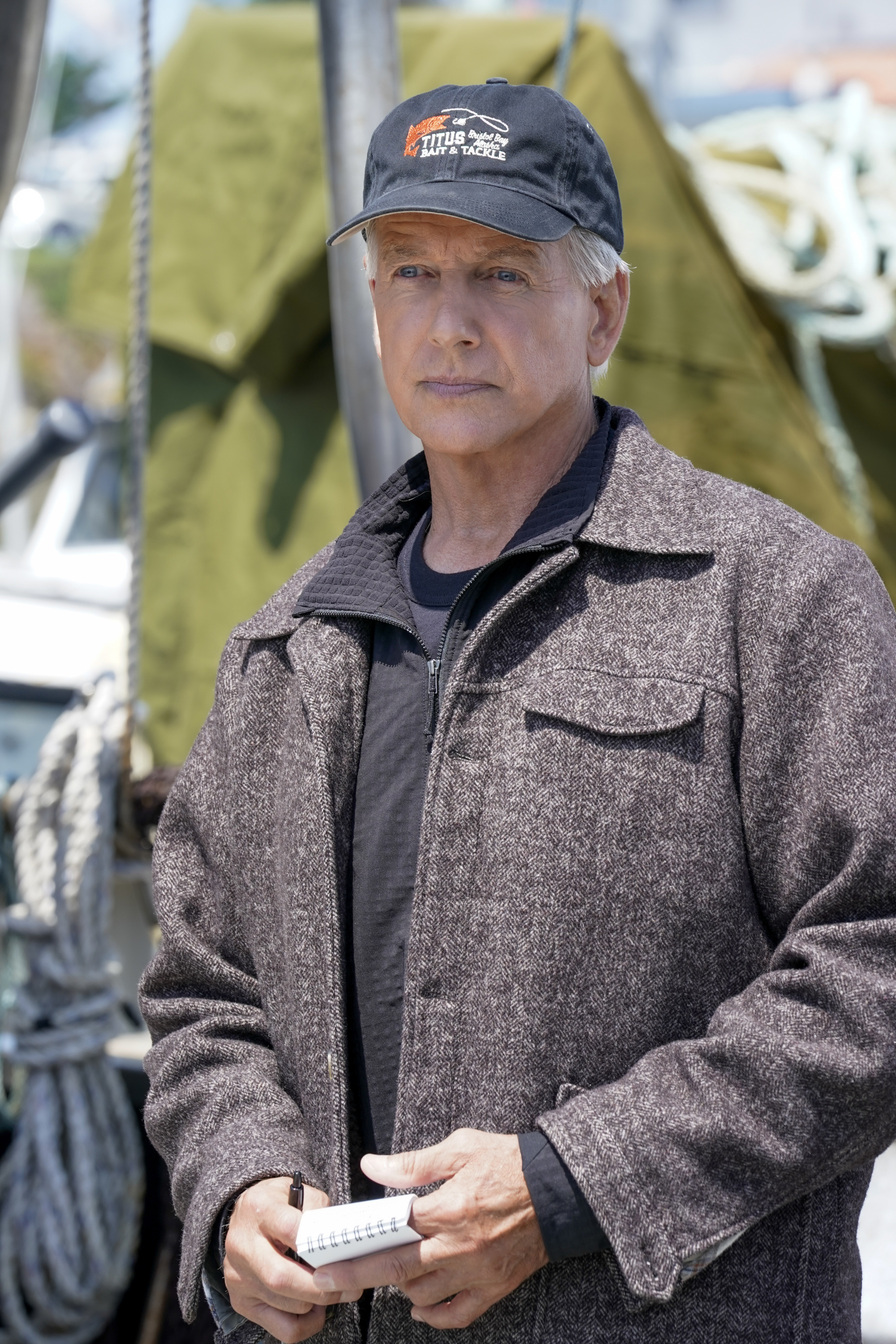 Mark Harmon: Now
