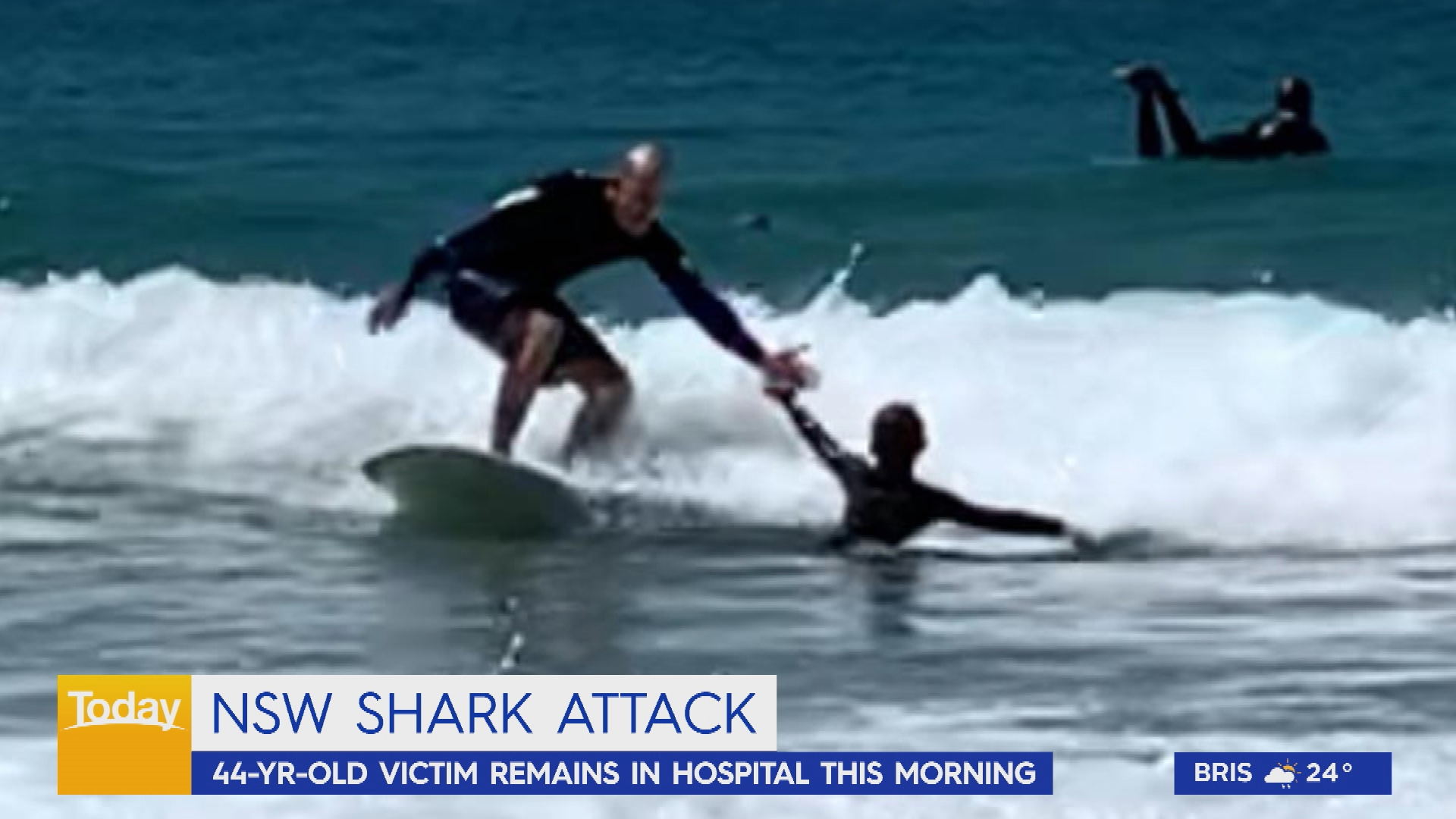 Port Macquarie shark attack