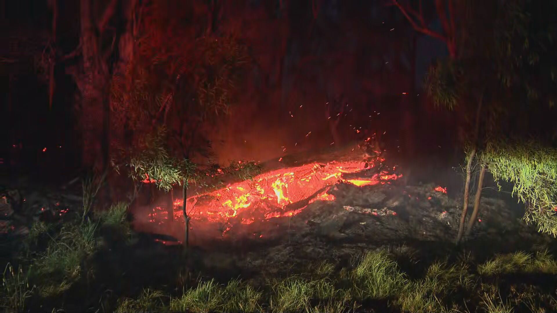 Queensland bushfires