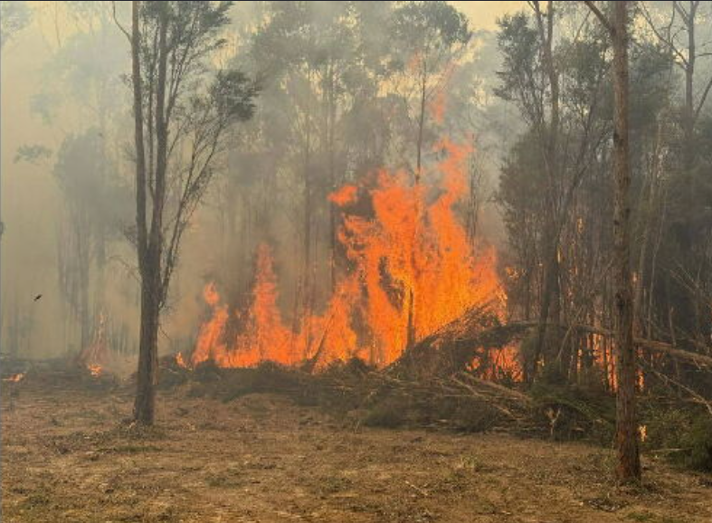 The Otways fire continues to burn through the landscape near Gellibrand.