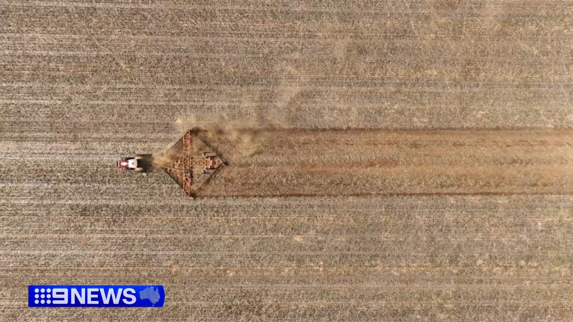 The mouse plague could have a devastating impact on Australia's grain and food export industry, which brings in around $3 billion to the economy.