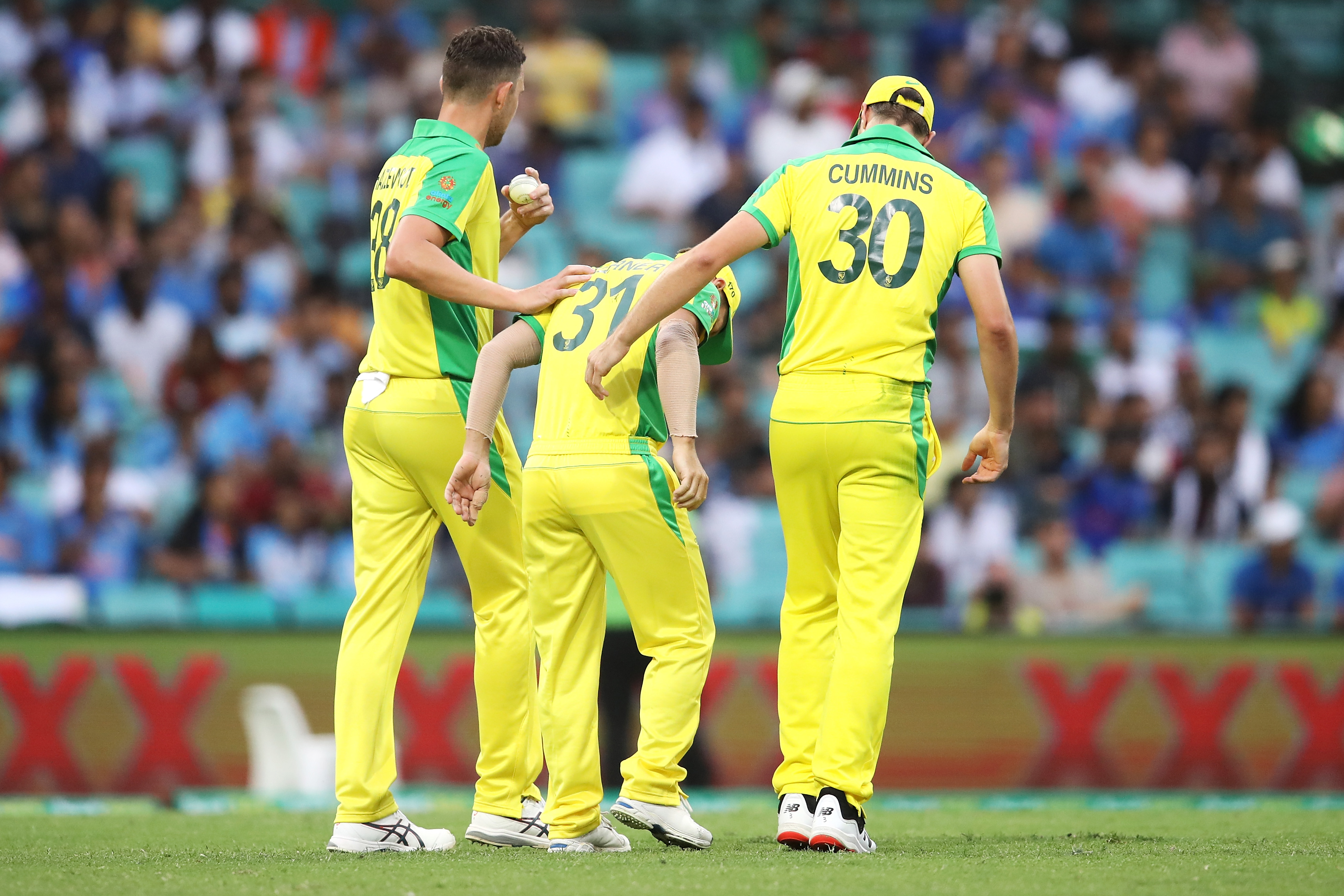 Josh Hazlewood and Pat Cummins assist David Warner.