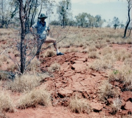 The Tennant Creek quakes caused the surface of the outback to rupture.