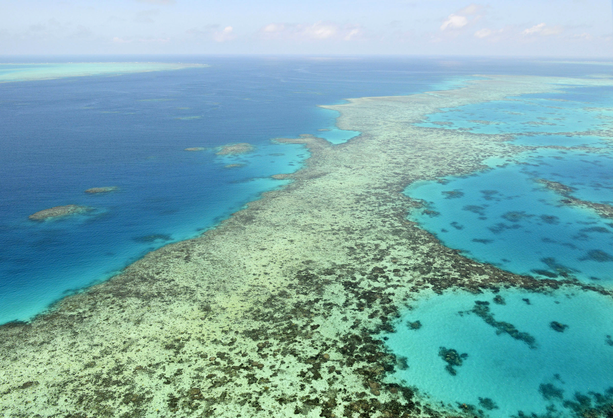 UNESCO chides Australia over Great Barrier Reef proposal