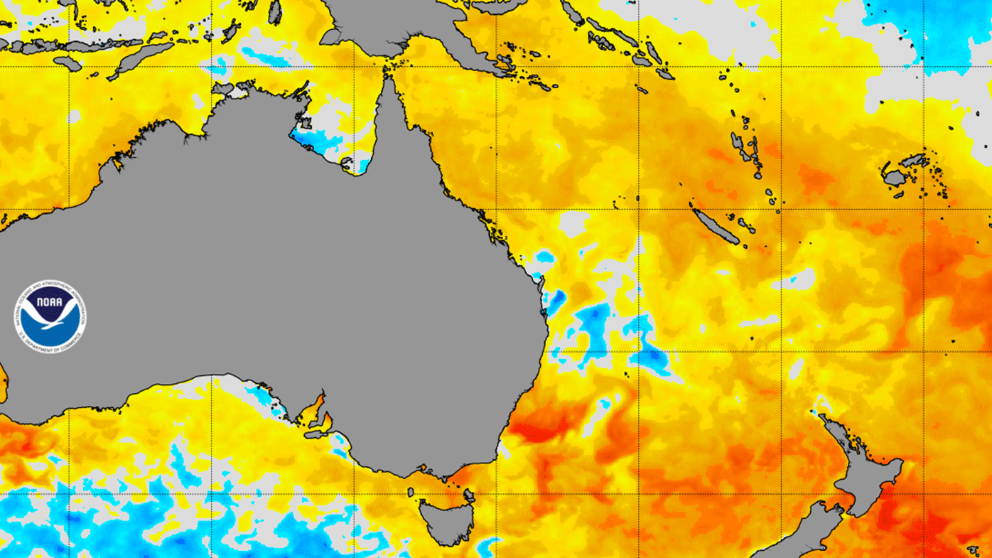 NSW ocean temperatures soaring to levels not seen in decades
