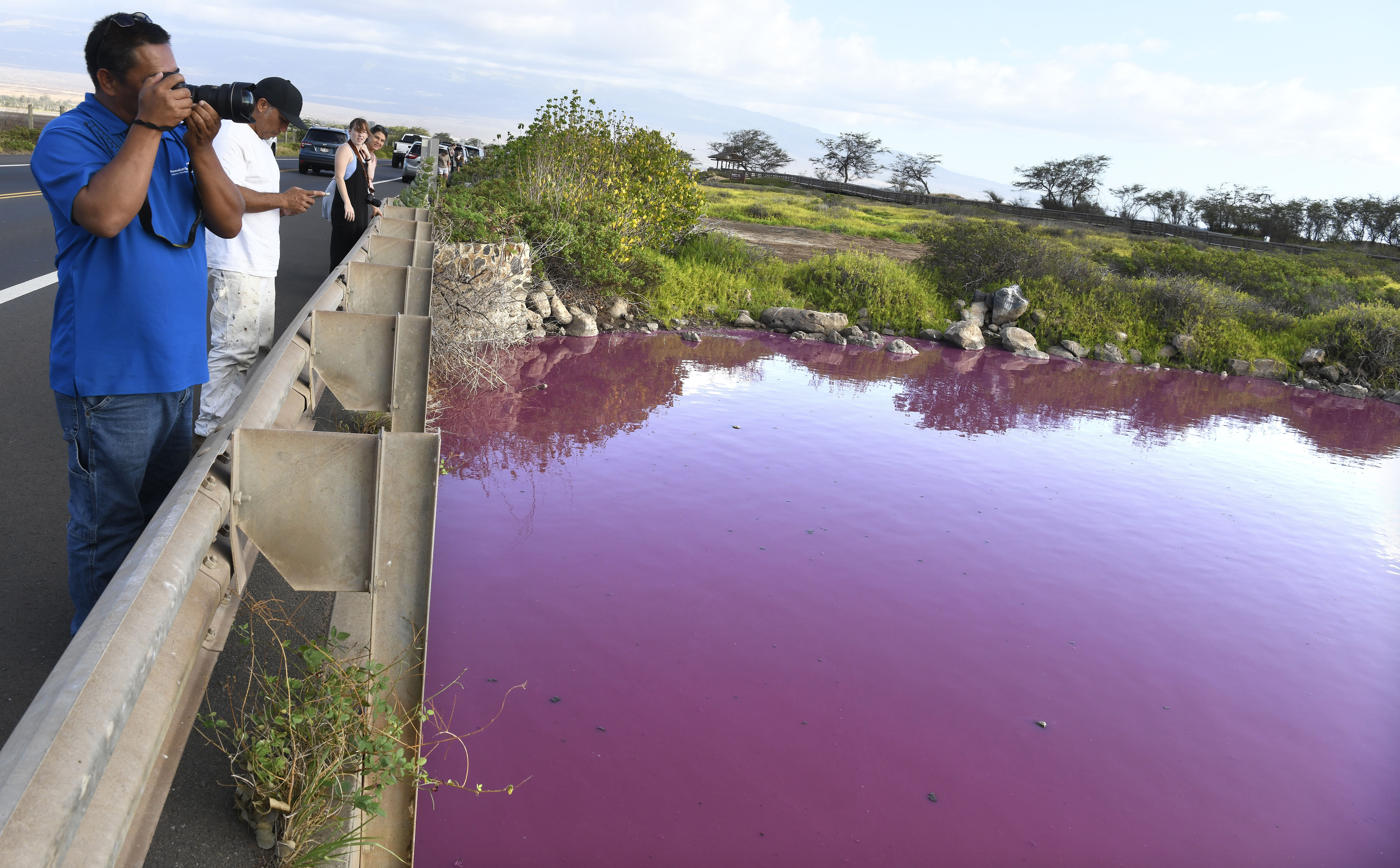 Severino Urubio of Hilo, Hawaii snaps photos of Kealia Pond's pink water at Kealia Pond National Wildlife Refuge in Kihei, Hawaii.