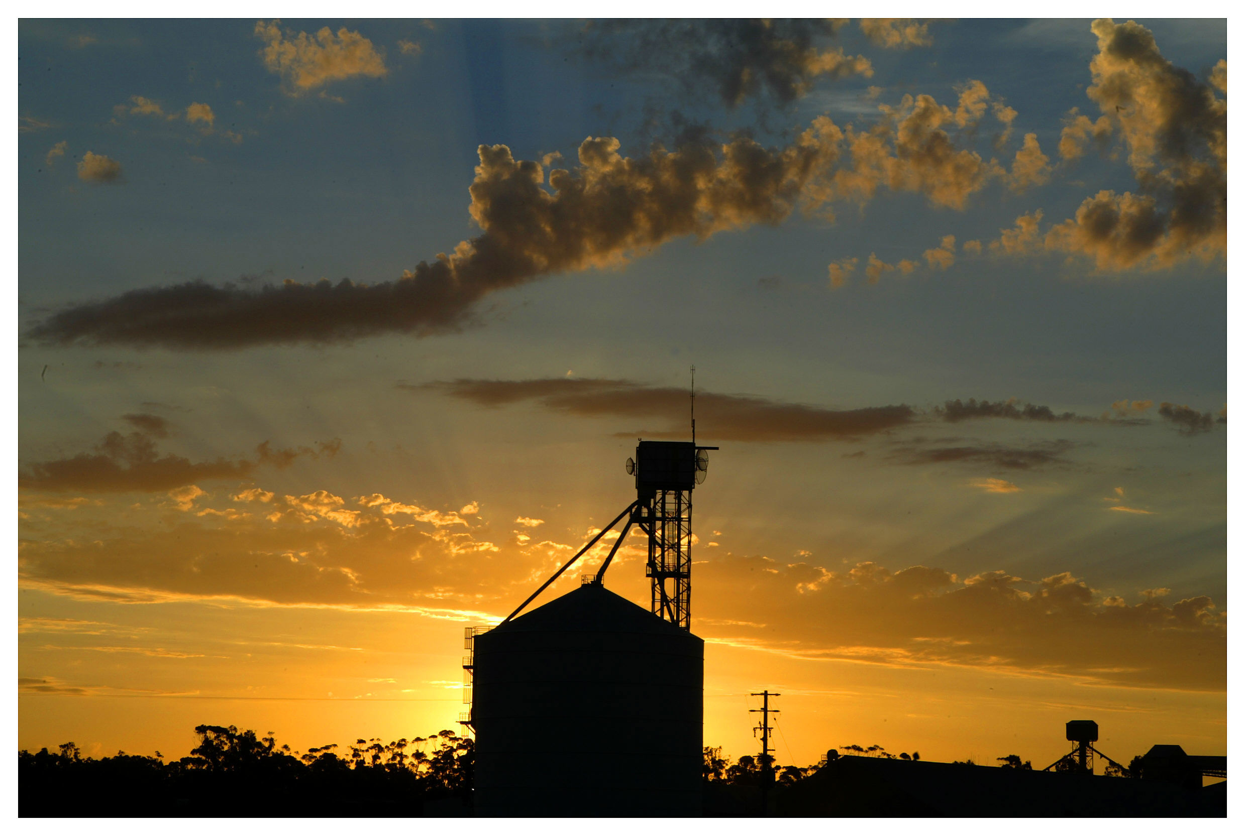 Sheep graze on stubble in the foreground of grain silos at Warracknabeal northwest Victoria Wednesday 21 December 2005. Inland Summer story Picture by Craig Abraham The Age cma  wimmera mallee wheat barley 000 000 Craig Abraham CMA PICEDITOR-AGE General 20051221 Special bush