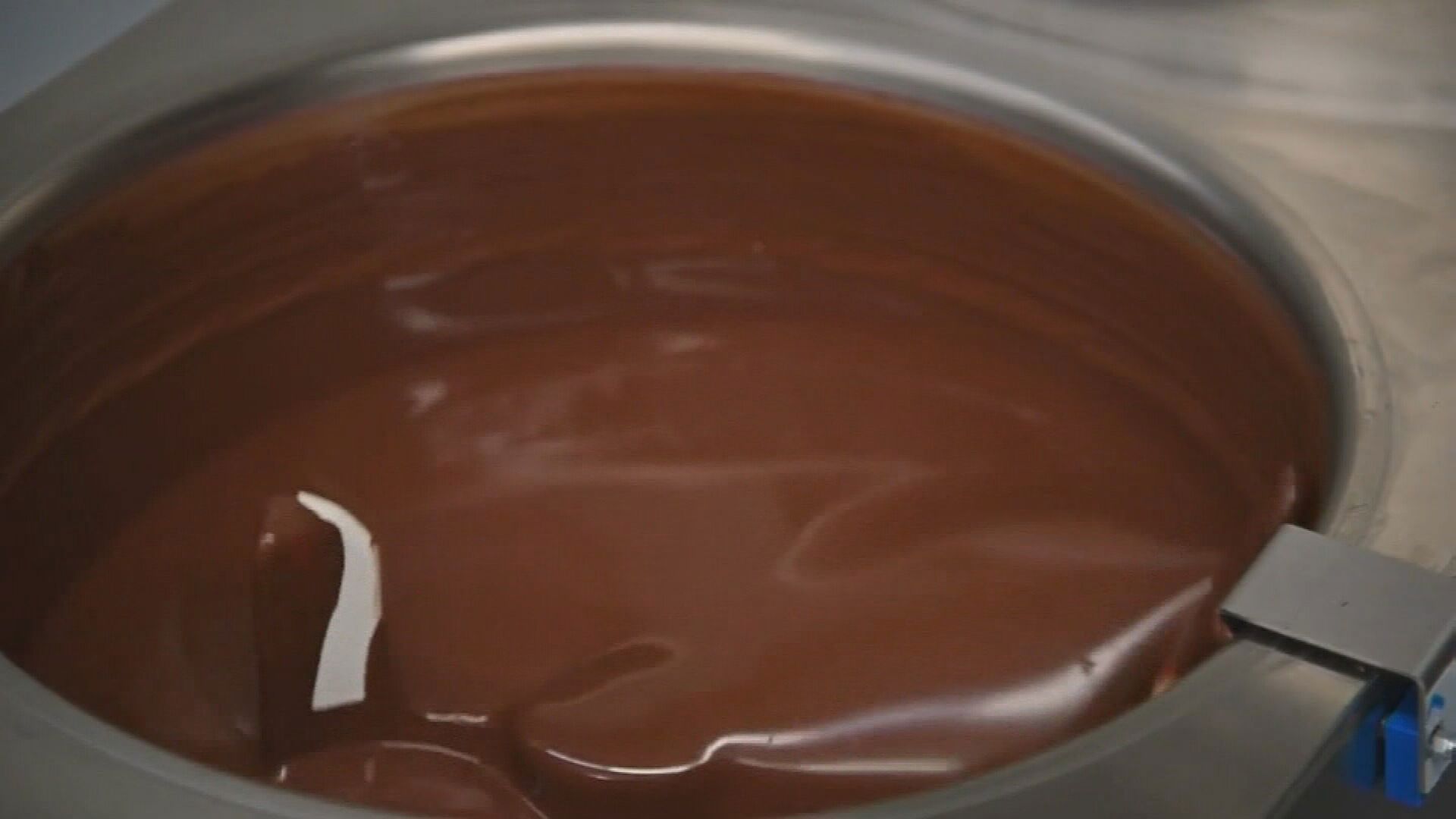 A destructive disease sweeping across cacao trees in West Africa could jeopardise the world's supply of chocolate.
