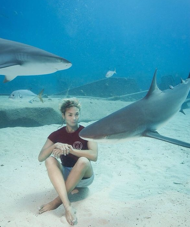 Meet the Shark Whisperer who sticks her hand in their mouths to remove  fishing hooks - BrightVibes