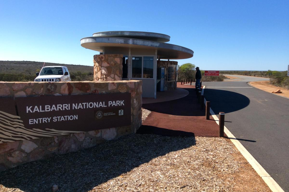 motorcyclist hits emu in national park, in critical condition