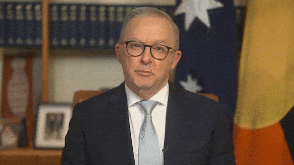 Anthony Albanese address to nation looper