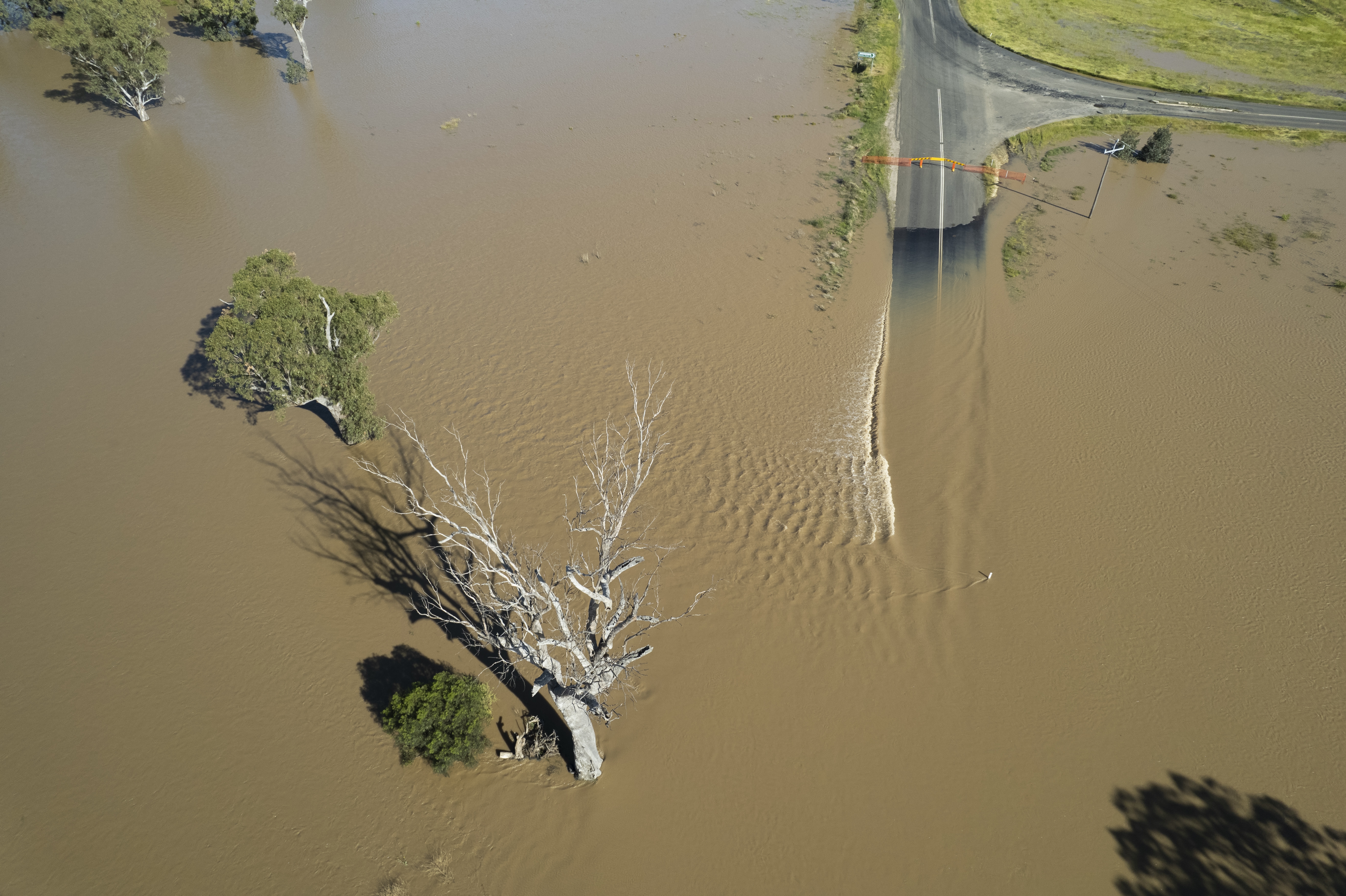 Flooding along the Namoi River near the NSW town of Narrabri.  