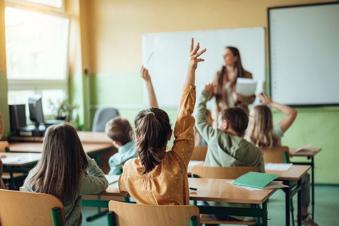 naplan 2023 questions quiz
