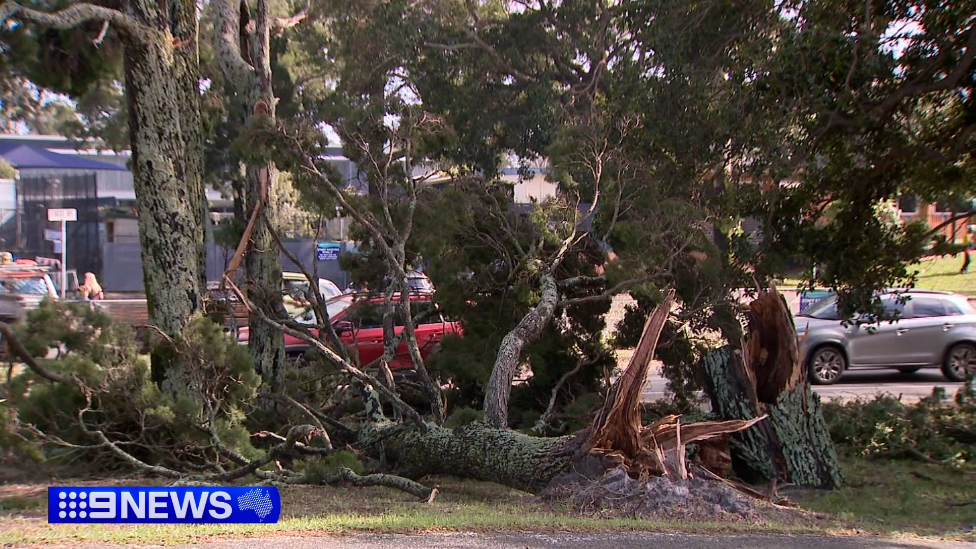 A massive cleanup effort is now underway across South-East Queensland.