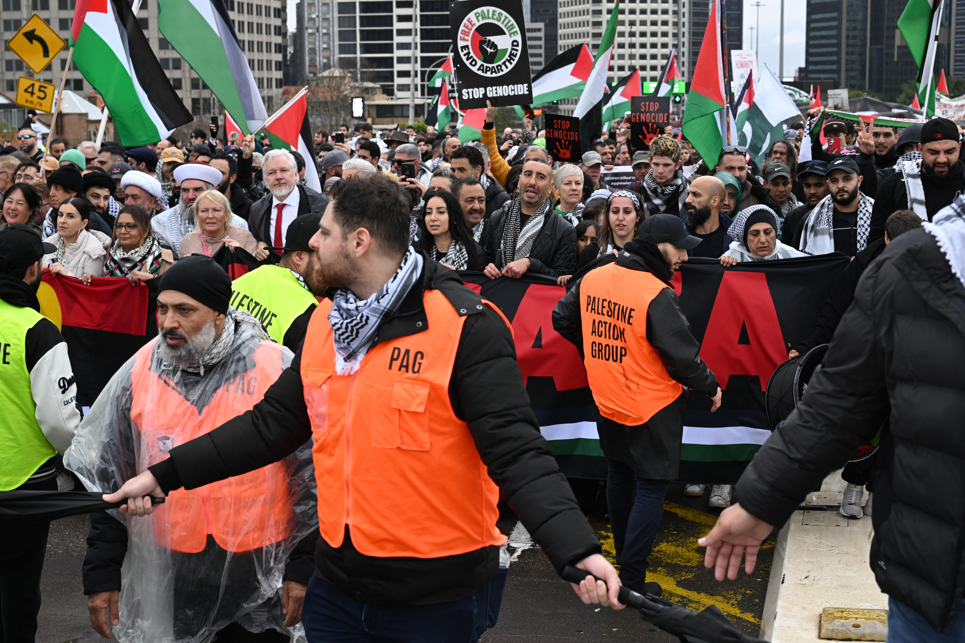 Pro-Palestine protesters march across the Sydney Harbour Bridge to bring attention to the ongoing Israel bombing and aid restrictions to Gaza. 3 August 2025 Photo: Janie Barrett
