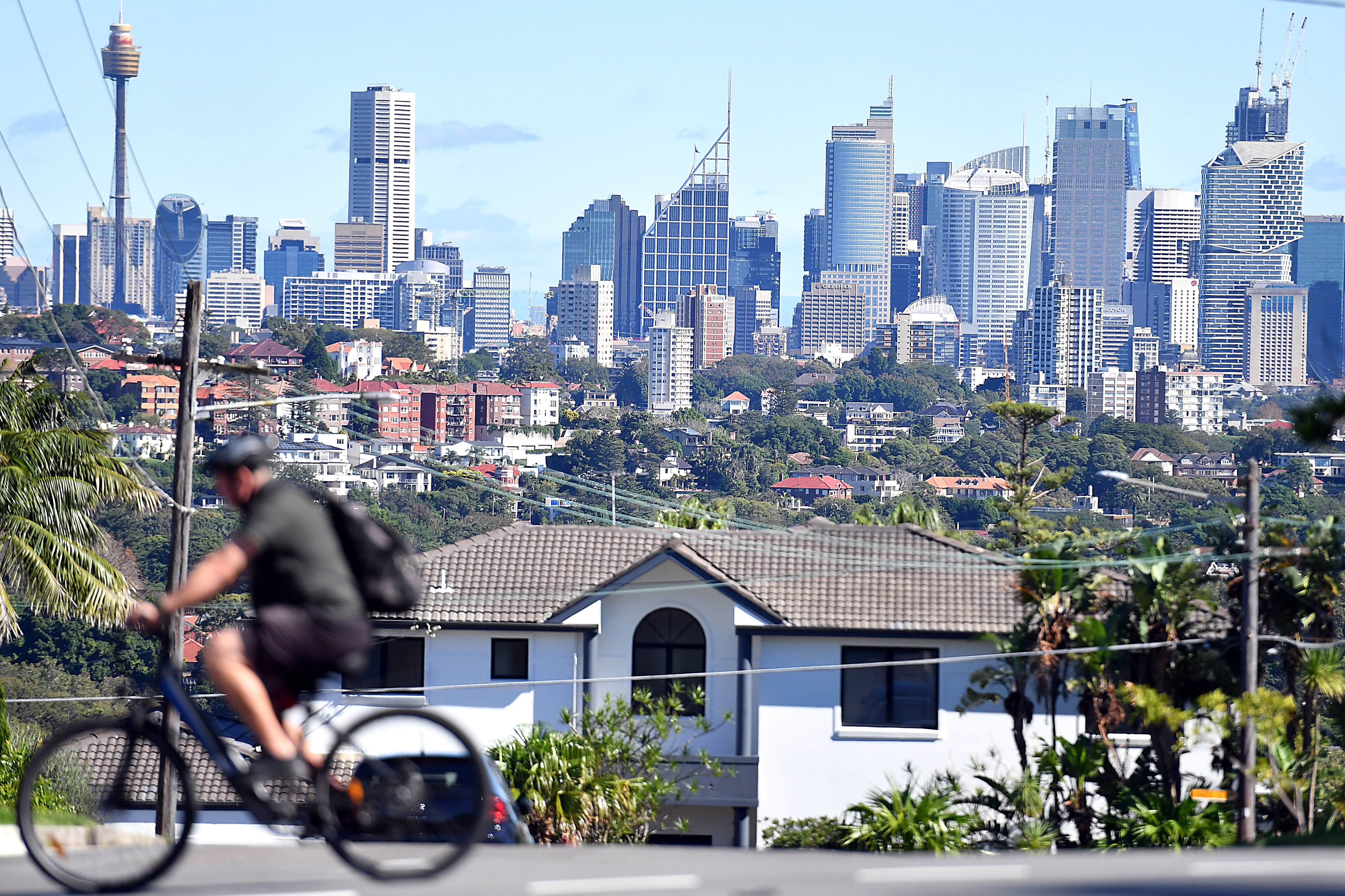 View of Sydney CBD from Dover Heights.