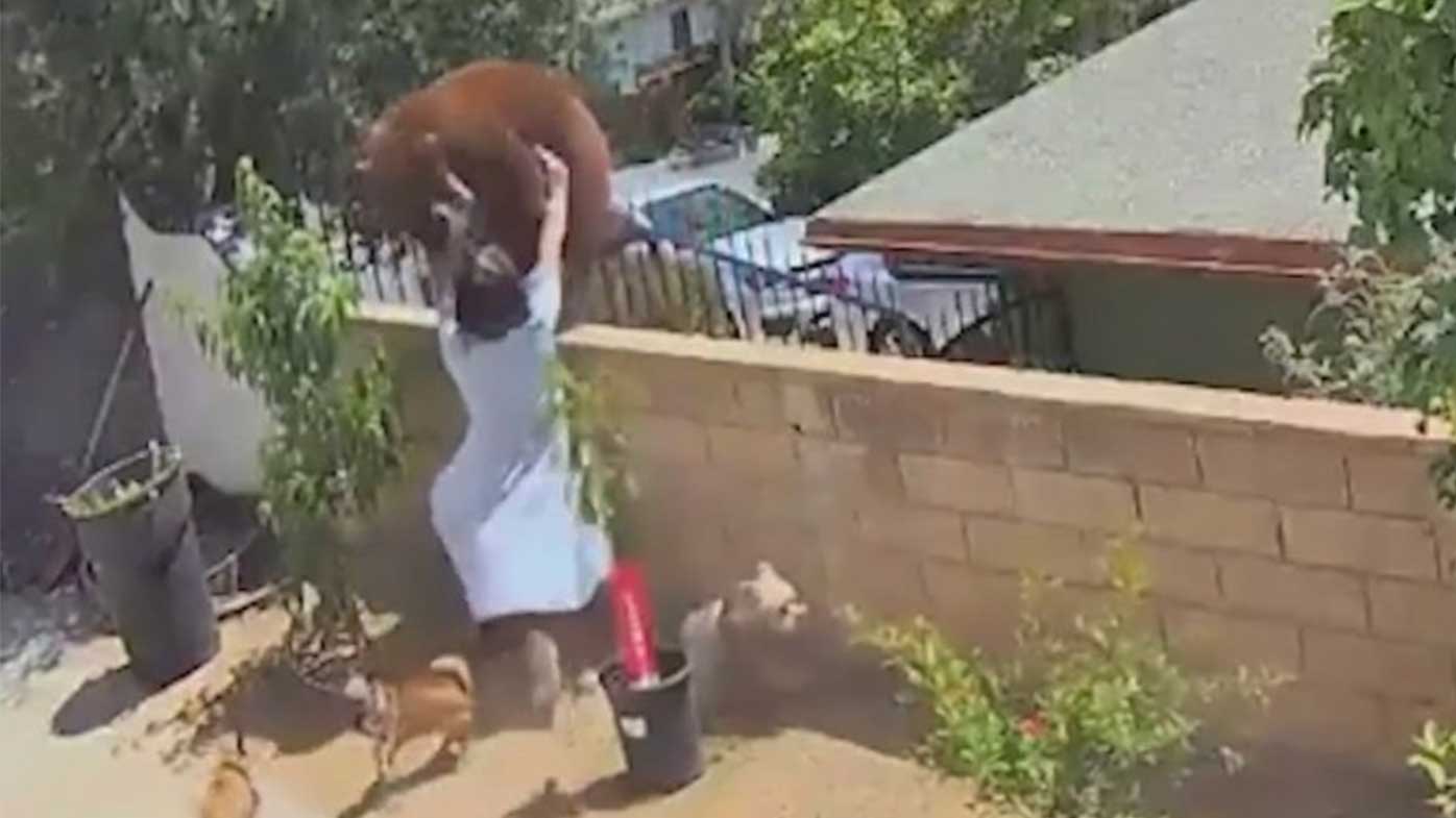 Hailey Morinico shoved a bear to stop it swiping at her dog.