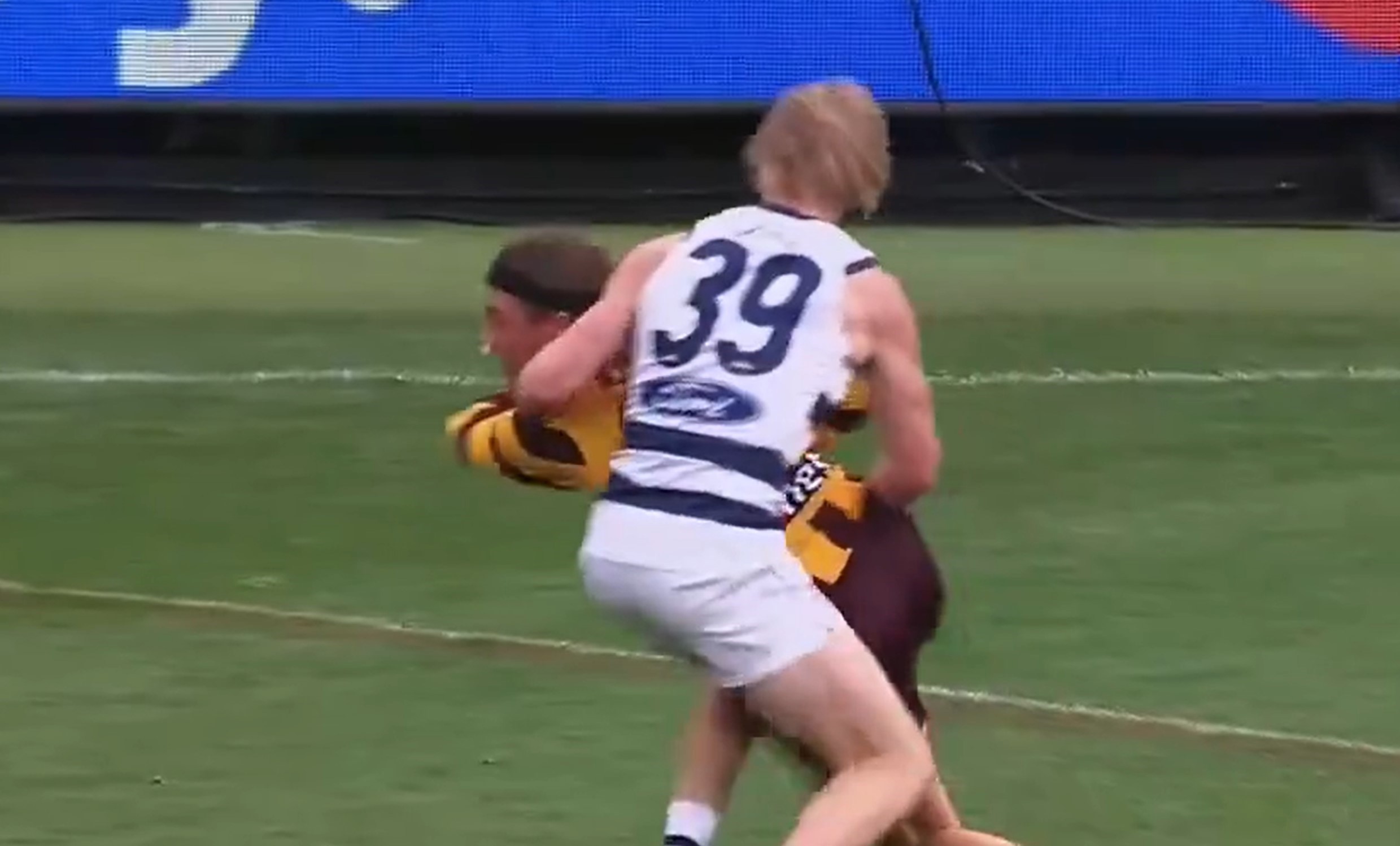 Hawks player Jack Ginnivan was not awarded a number of potential free kicks.