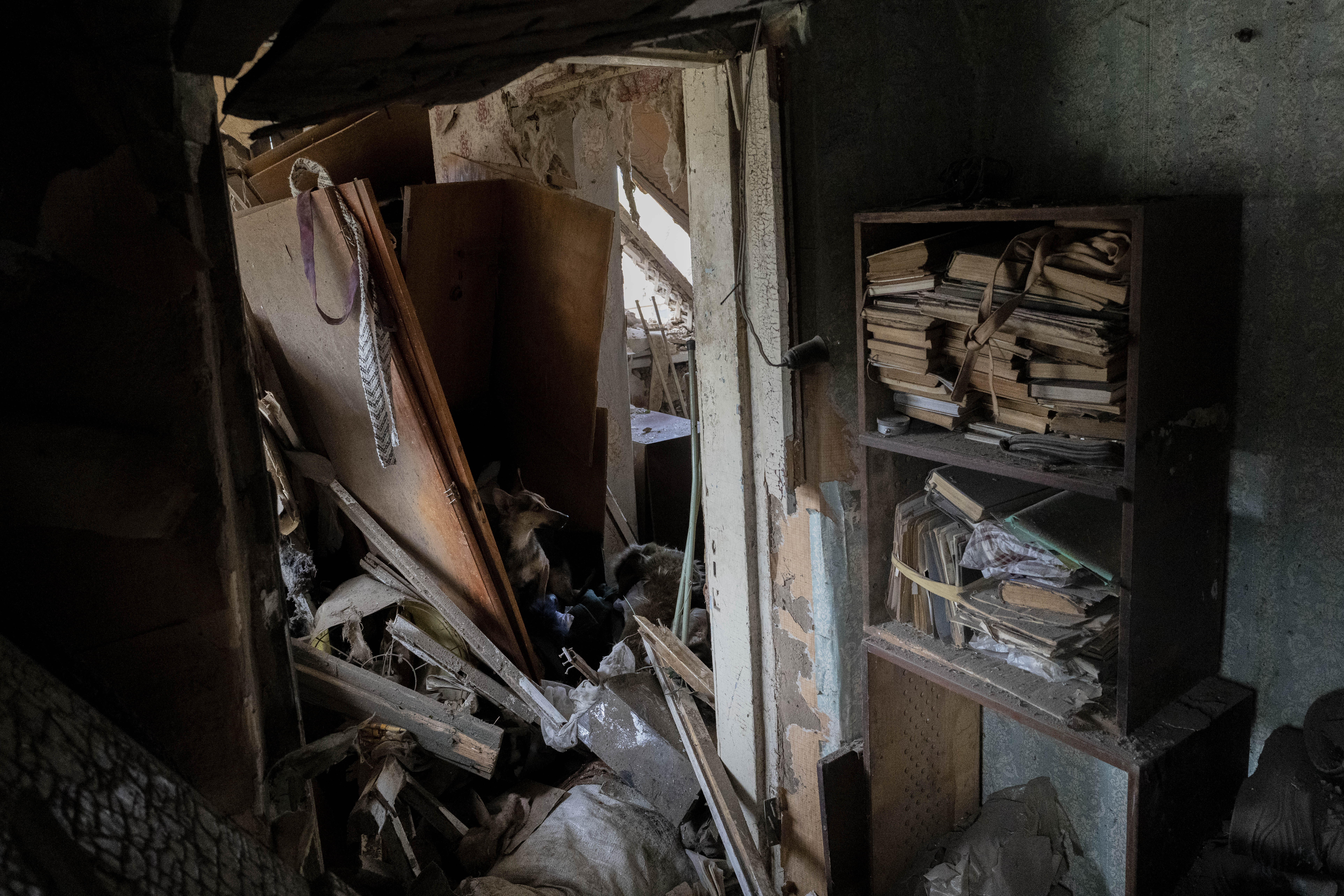 A dog sits inside a house damaged after a missile strike in Druzhkivka, eastern Ukraine, Sunday, June 5, 2022. (AP Photo/Bernat Armangue)
