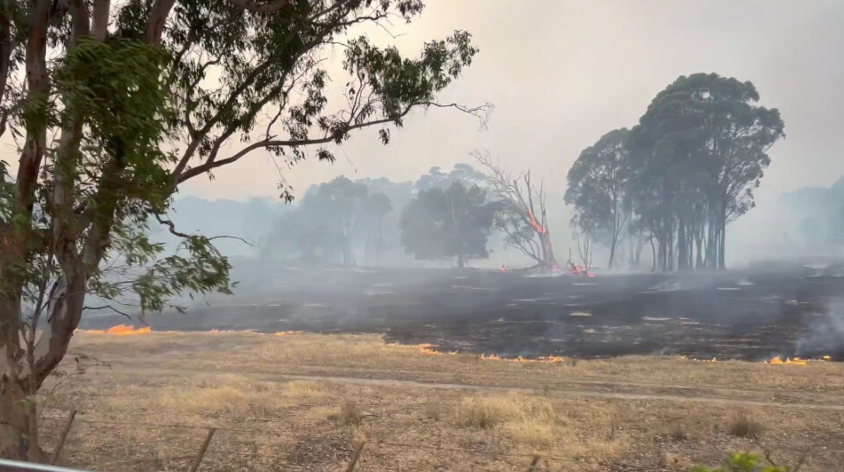 The Longwood fire continued to crawl through dry bushland overnight.