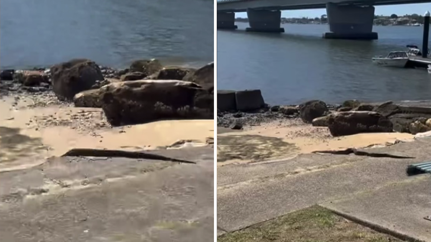 Boa constrictor on the loose in Sydney's south