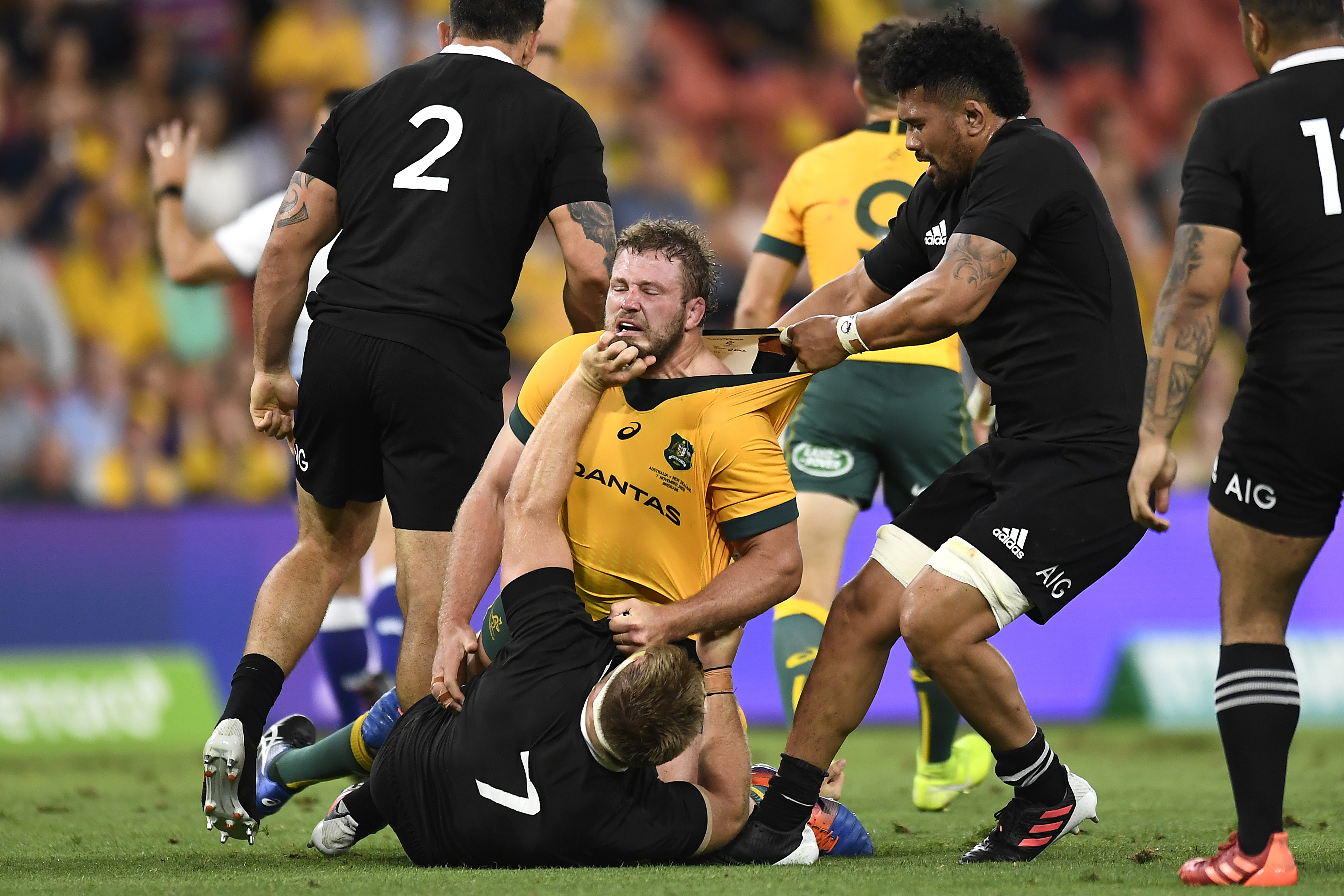 Wallabies All Blacks Bledisloe Cup