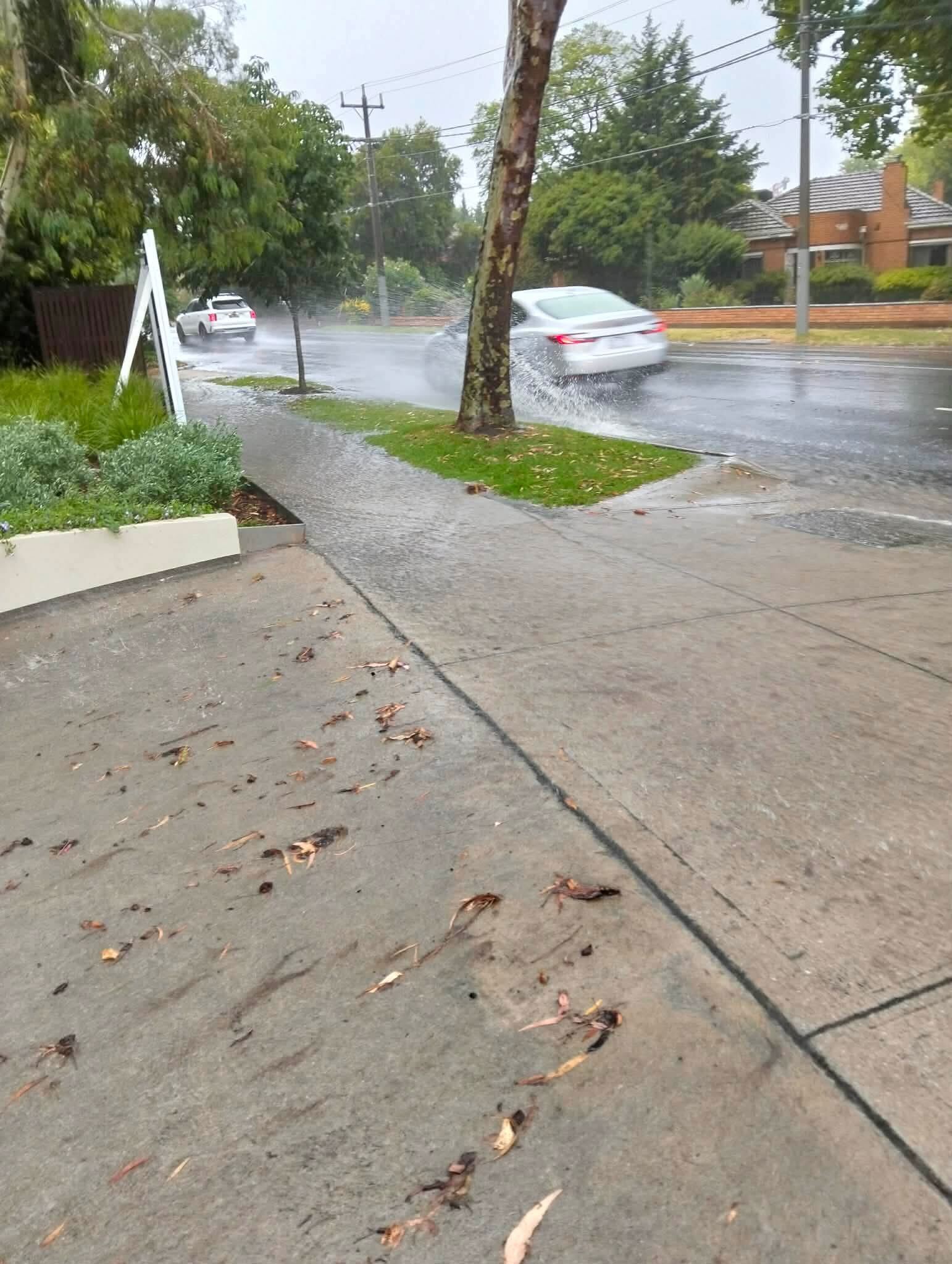 Rain in Ivanhoe, Melbourne