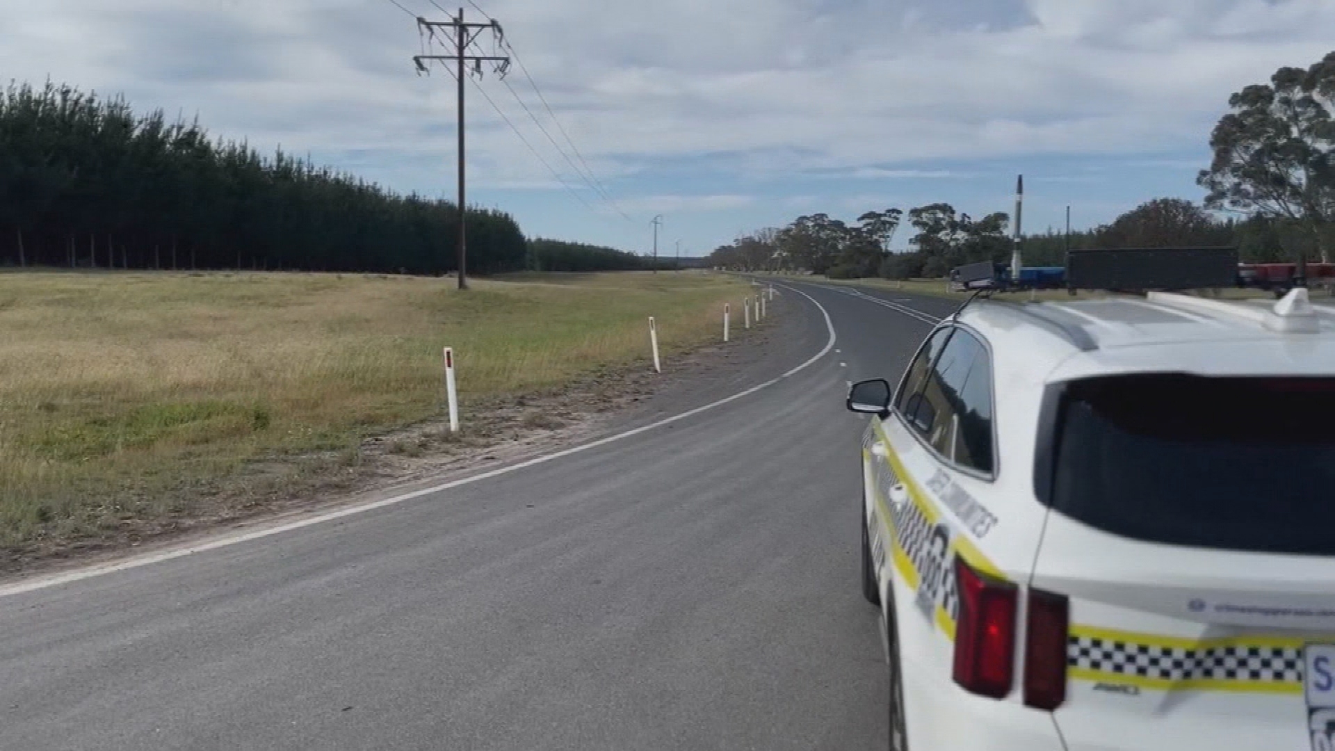 Boy killed in SA highway crash after car hits emu