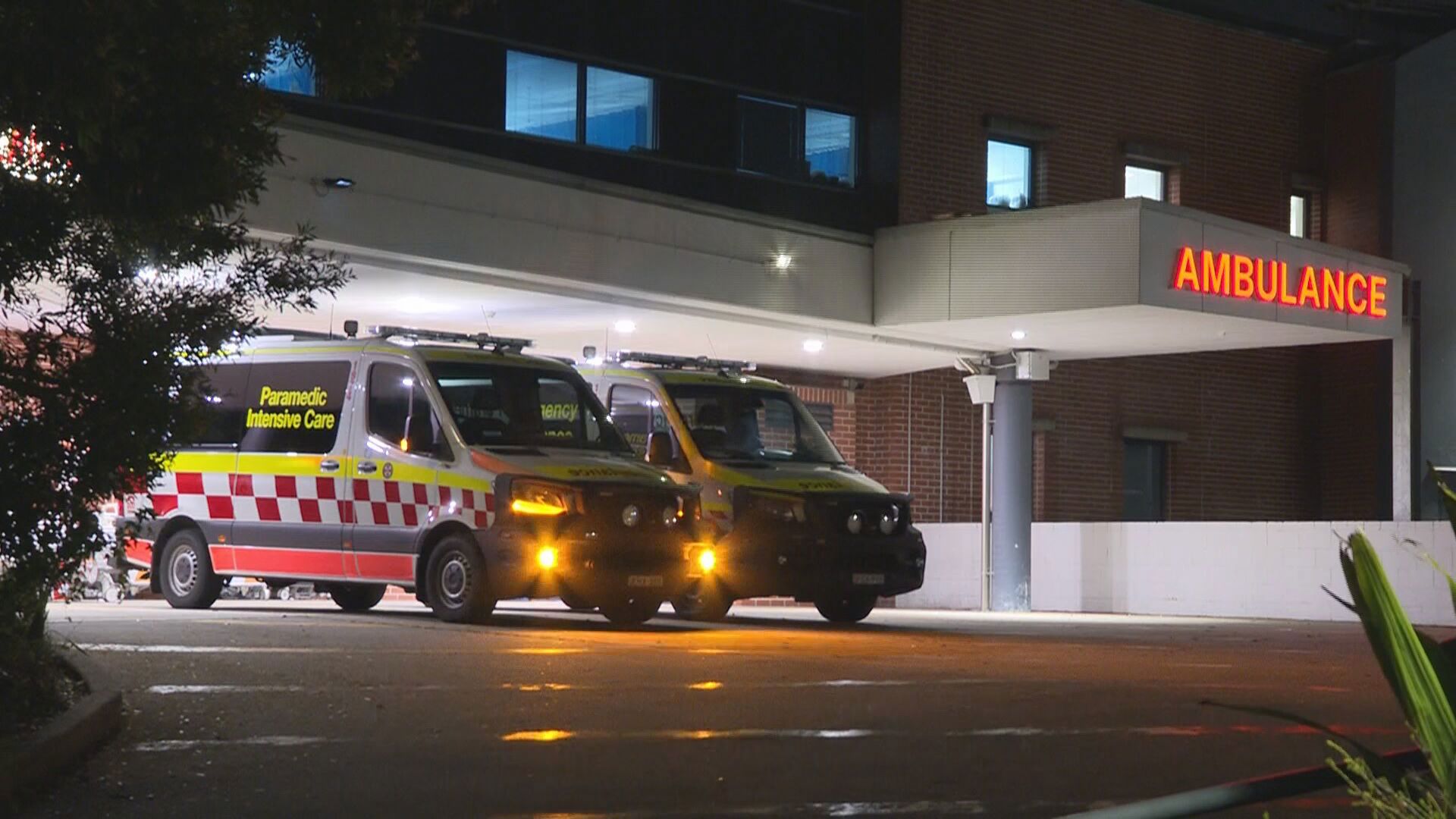 Woman, 45, hospitalised after wedding brawl in Sydney's south-west