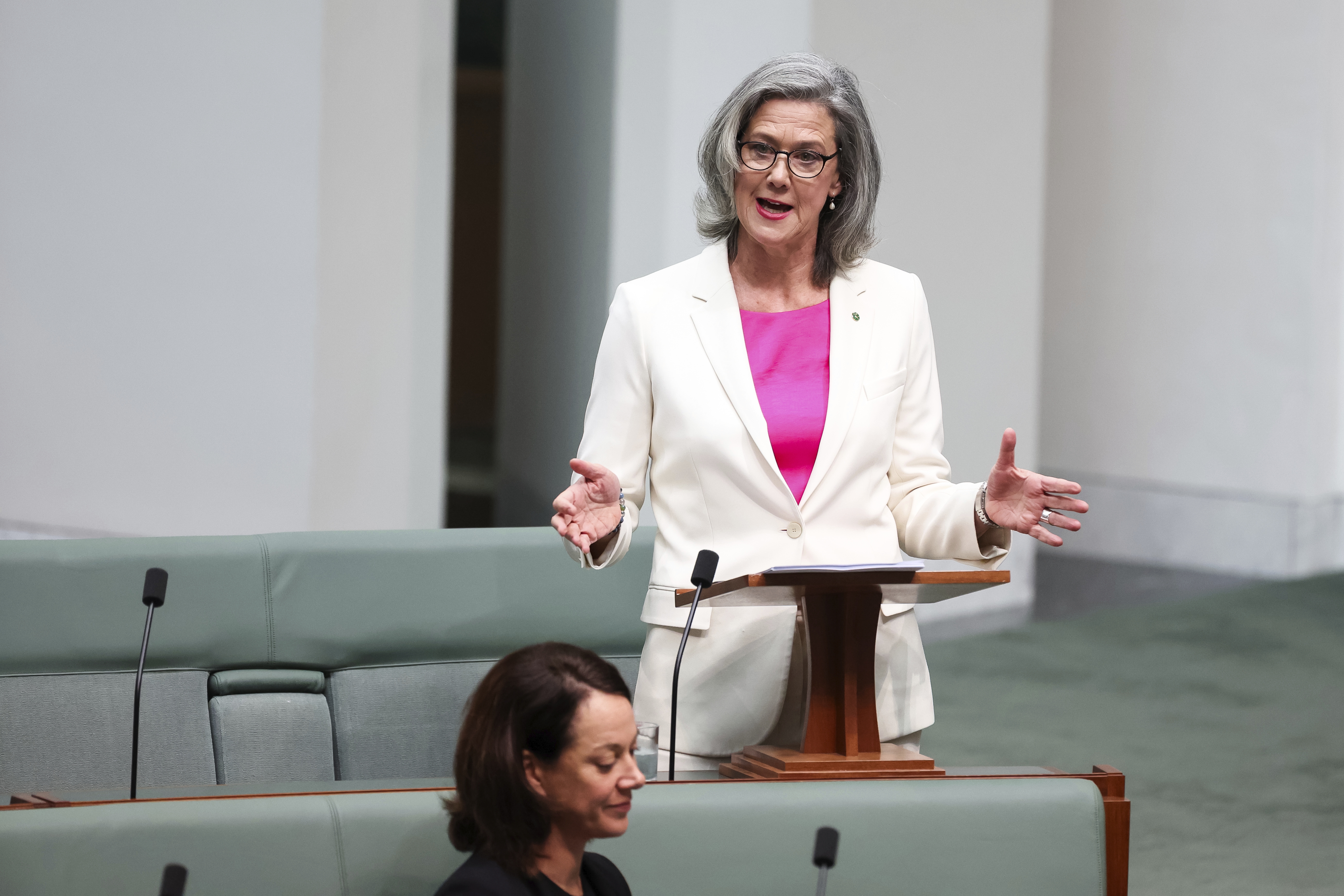 Member for Bradfield, Nicolette Boele, delivers her first speech, in the House of Representatives at Parliament House in Canberra.