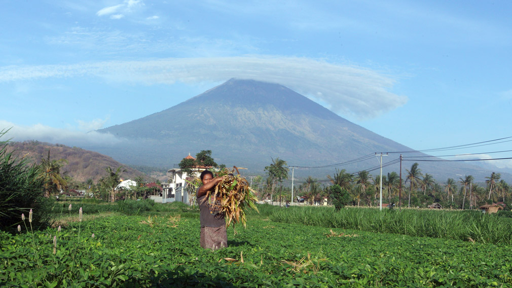 A woman works at a field with Mount Agung seen in the background in Amed, Bali, Indonesia. (AP)
