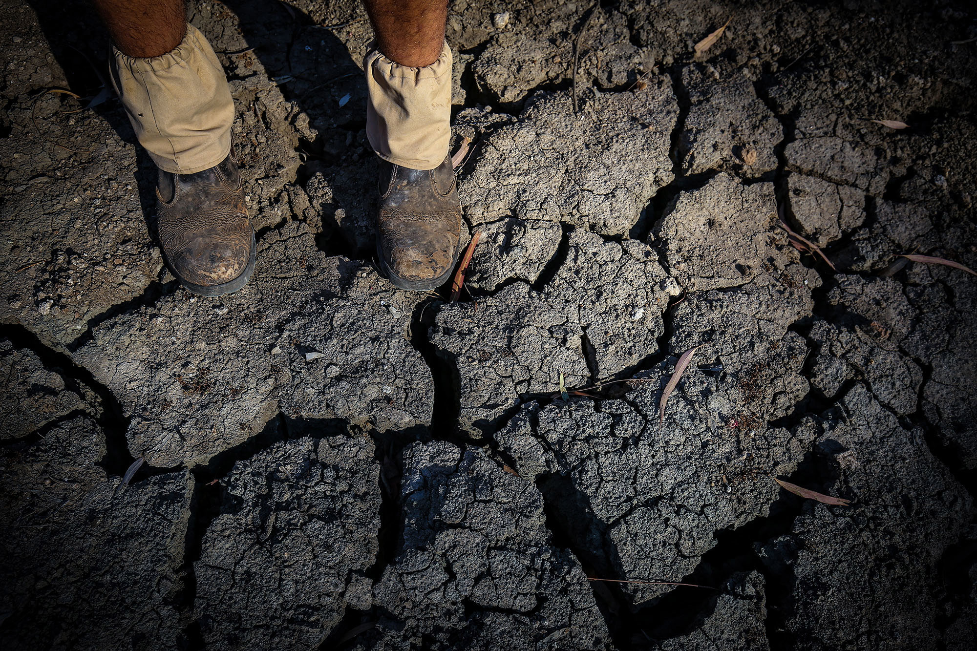 A cracked riverbed during drought in NSW.