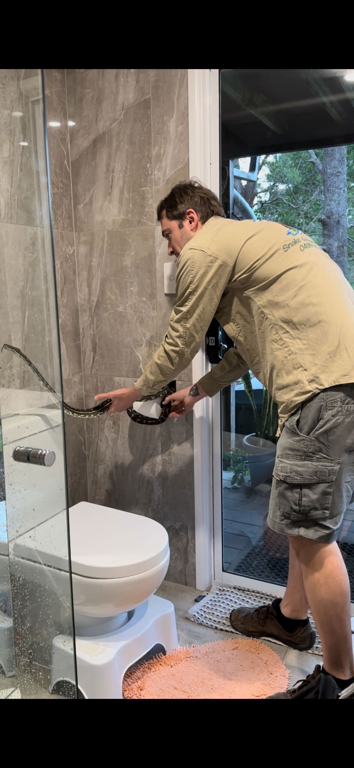 Carpet Python on Toilet-Roll