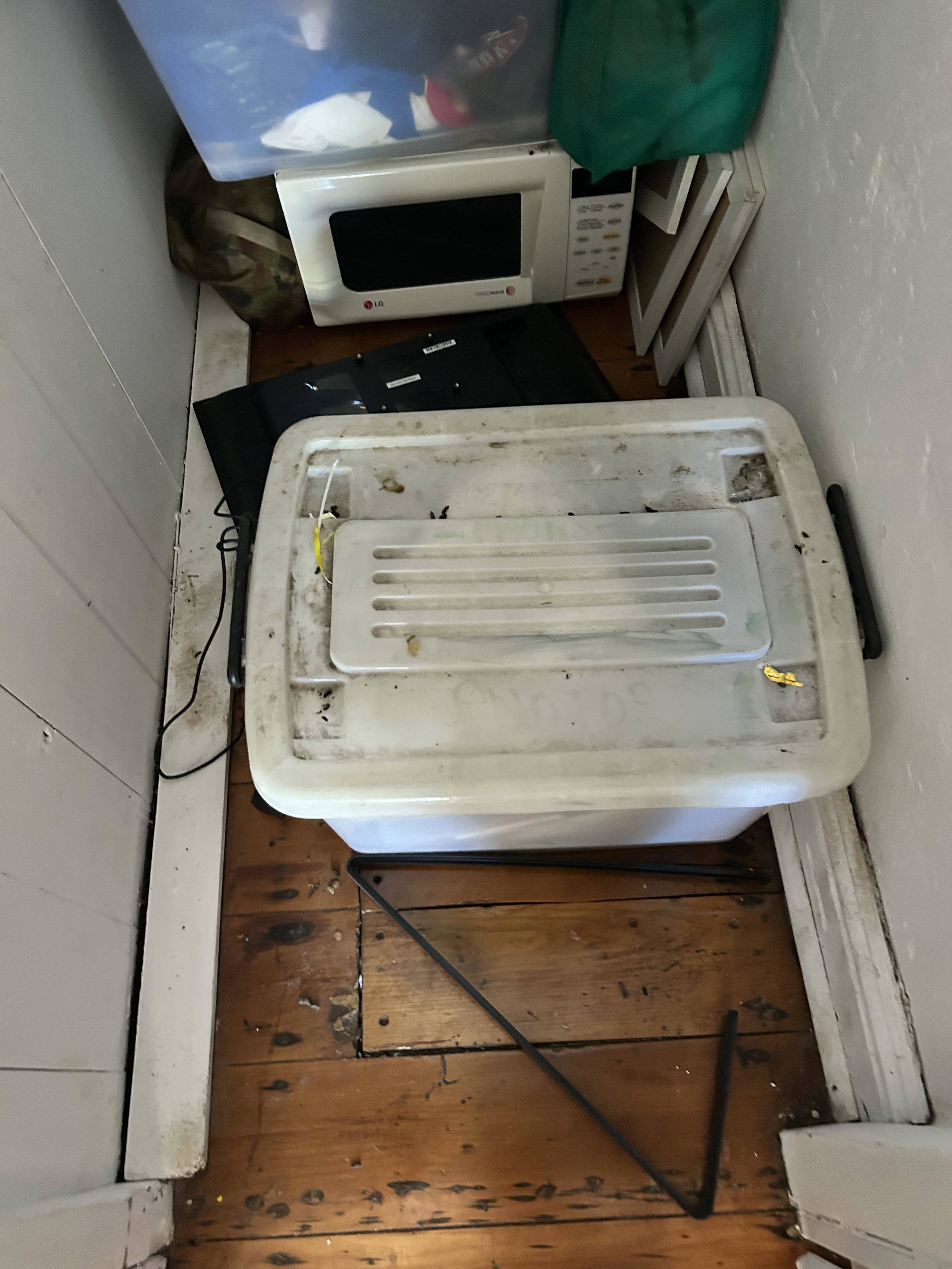 Rats have eaten through the parts of Brad Power's home he is renting in Glebe.
