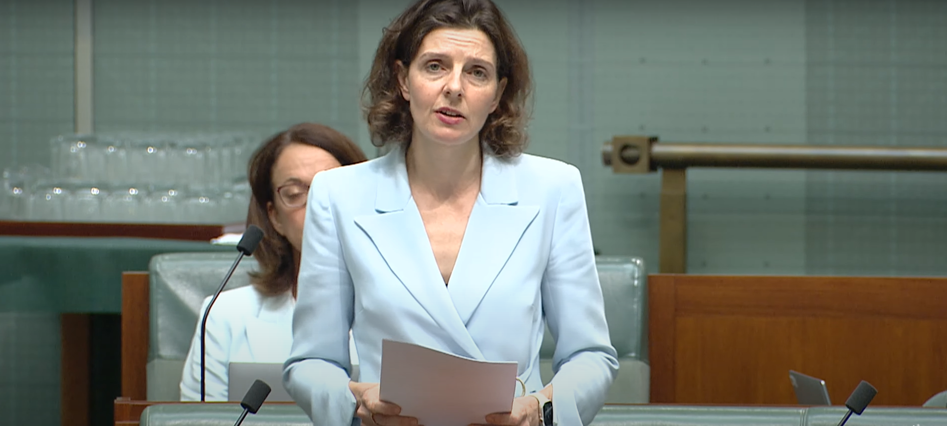 In the House of Representatives this afternoon, Independent MP Allegra Spender ﻿moved a motion to; deplore the rise of antisemitism, condemn antisemitism and resolve that all parliamentarians work together to combat antisemitism.