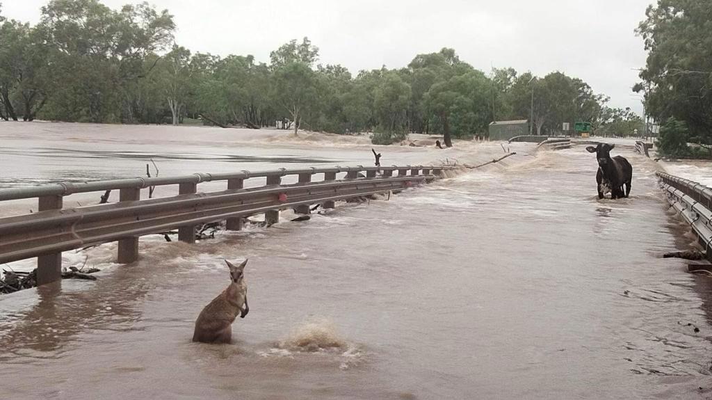 Callum Lamond said the main bridge at Fitzroy Crossing has 'buckled'.