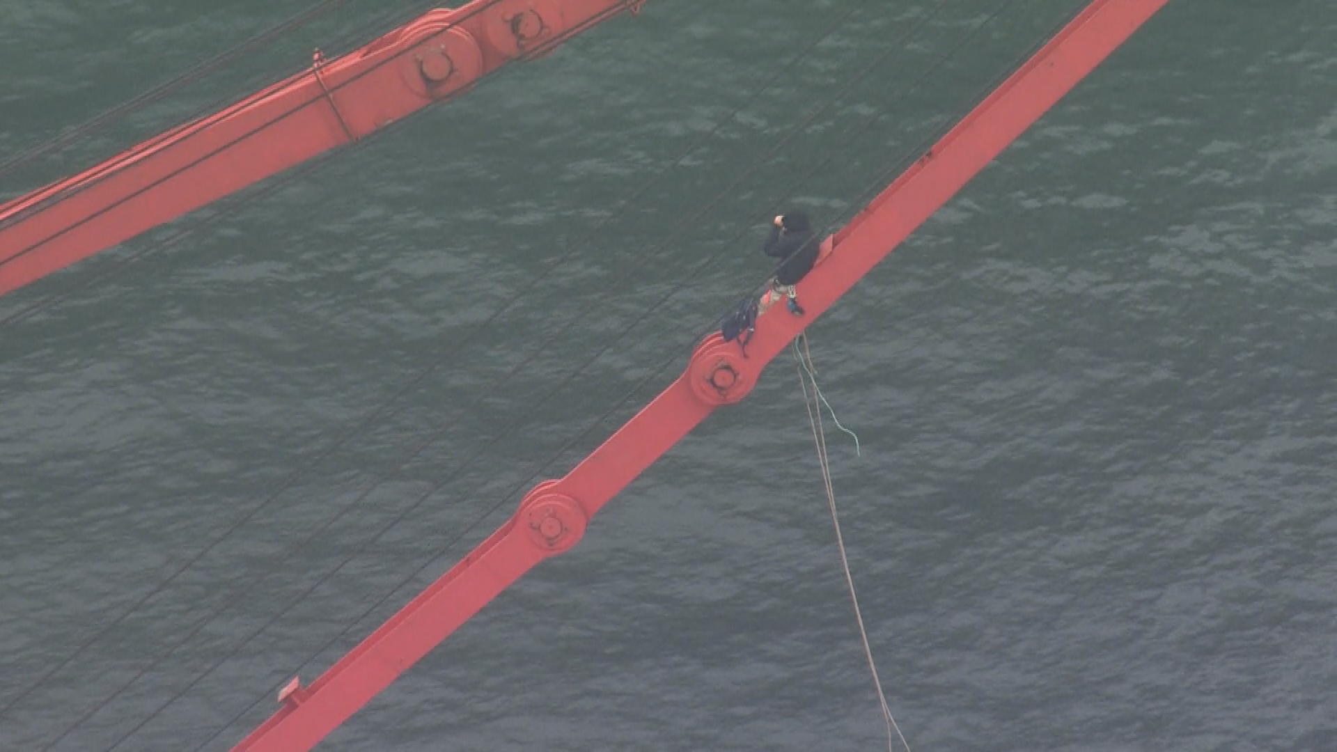 Protester suspends themselves from crane at Port Botany.