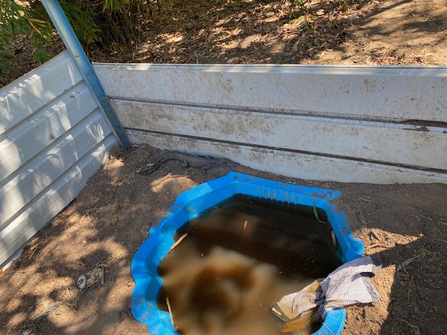 A search warrant was conducted on a 32-year-old man's residence in Girraween Northern Territory where a number of illegal items were seized including an unsecured firearm, sword fish rostrum and a live crocodile.