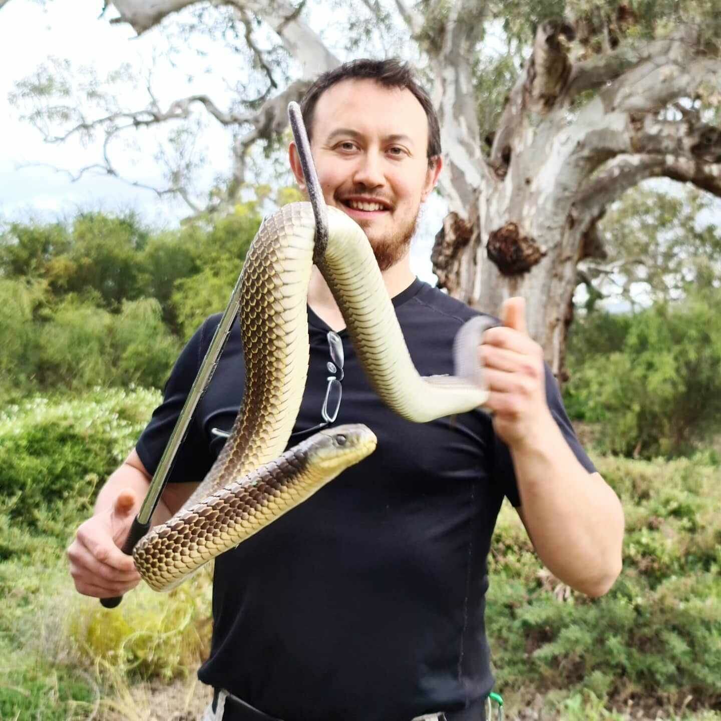 Snake hunter Mark Pelly warned snakes will be hiding from the rain in buildings, not just in the wilderness.