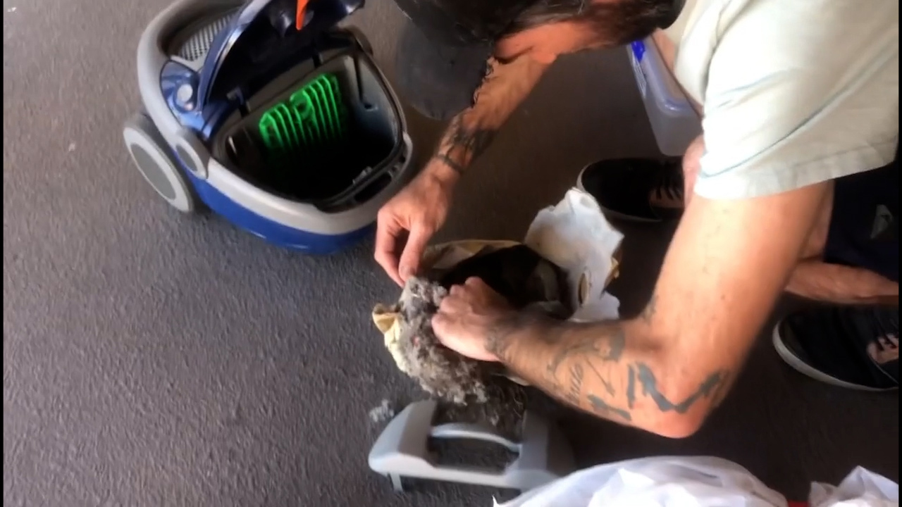 A Queensland snake catcher hurried to the rescue after a hatchling was sucked into a vacuum cleaner.