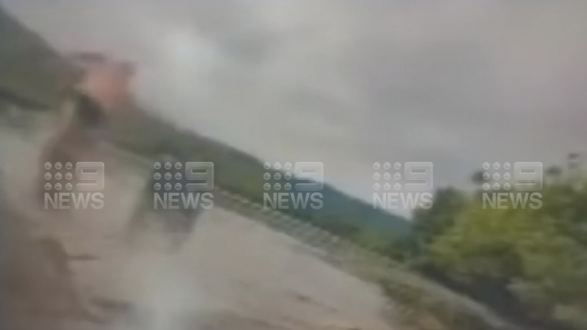 Man and dog attacked by crocodile in Bloomfield River in Far North Queensland.