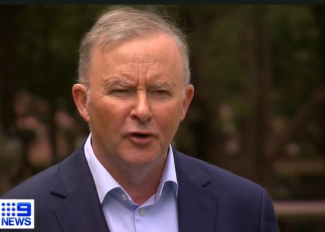 Opposition leader Anthony Albanese.
