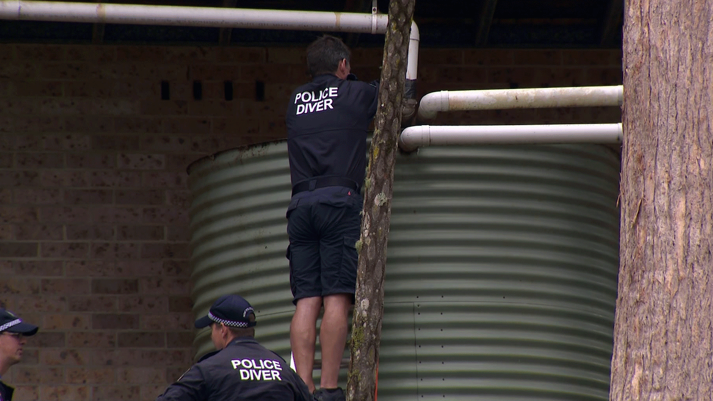 William Tyrrell search Kendall NSW