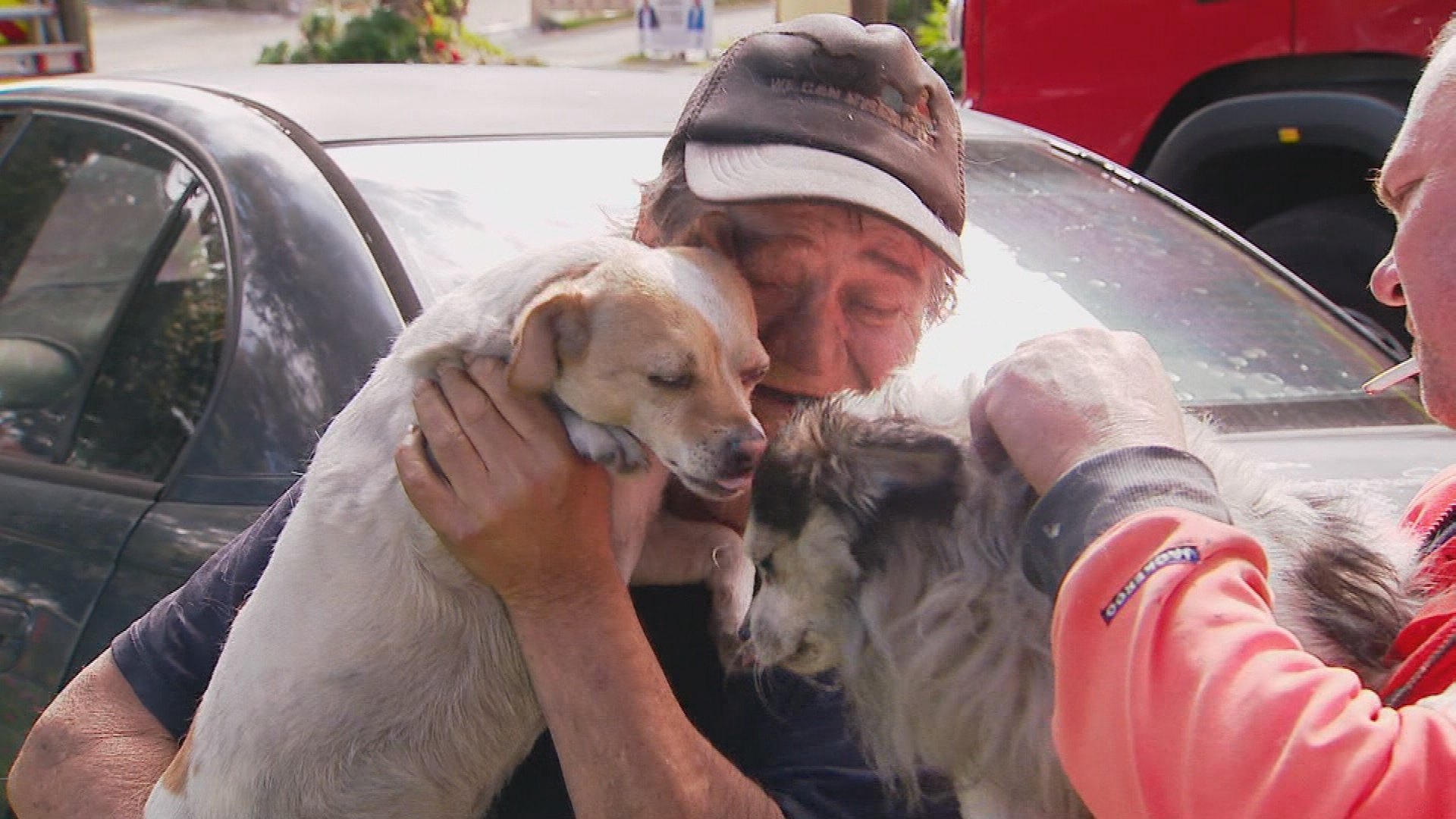 Firefighters revive dog after house fire in Adelaide.