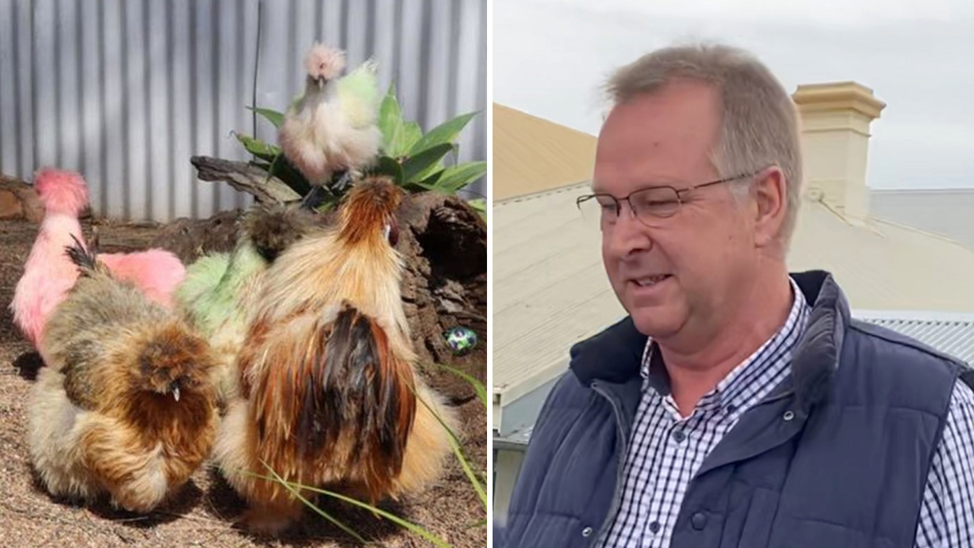Kiwi denied Aussie citizenship after killing chook